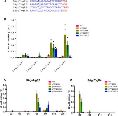 Exploring C-To-G Base Editing in Rice, Tomato, and Poplar